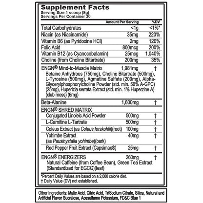 EVL Ultimate Pre Workout Powder - Thermogenic Fat Burner Preworkout Powder Drink for Lasting Energy Focus and Stamina - ENGN Shred Intense Fat Burning Creatine Free Preworkout Drink - Rocket Pop