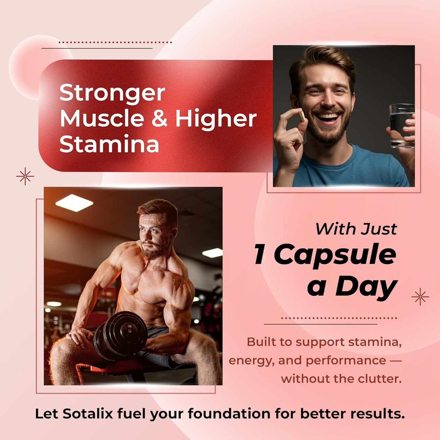 Ultra Turkesterone Ajuga Turkestanica Standardized 20% Turkesterone High Potency