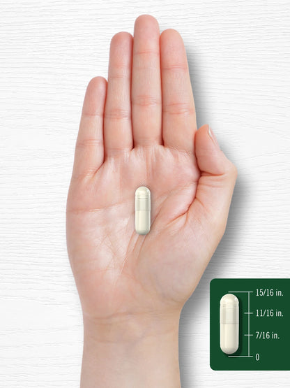 Apple Cider Vinegar Pills | 450Mg | 200 Capsules | Non-Gmo, Gluten Free Supplement | by