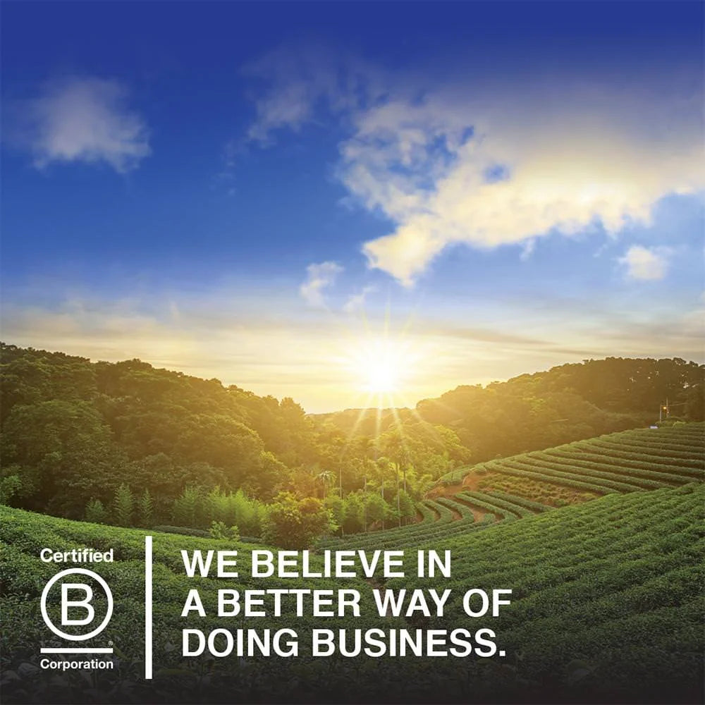 Raw Protein & Greens, Chocolate, 20G Protein, 1.4Lb, 22.0Oz