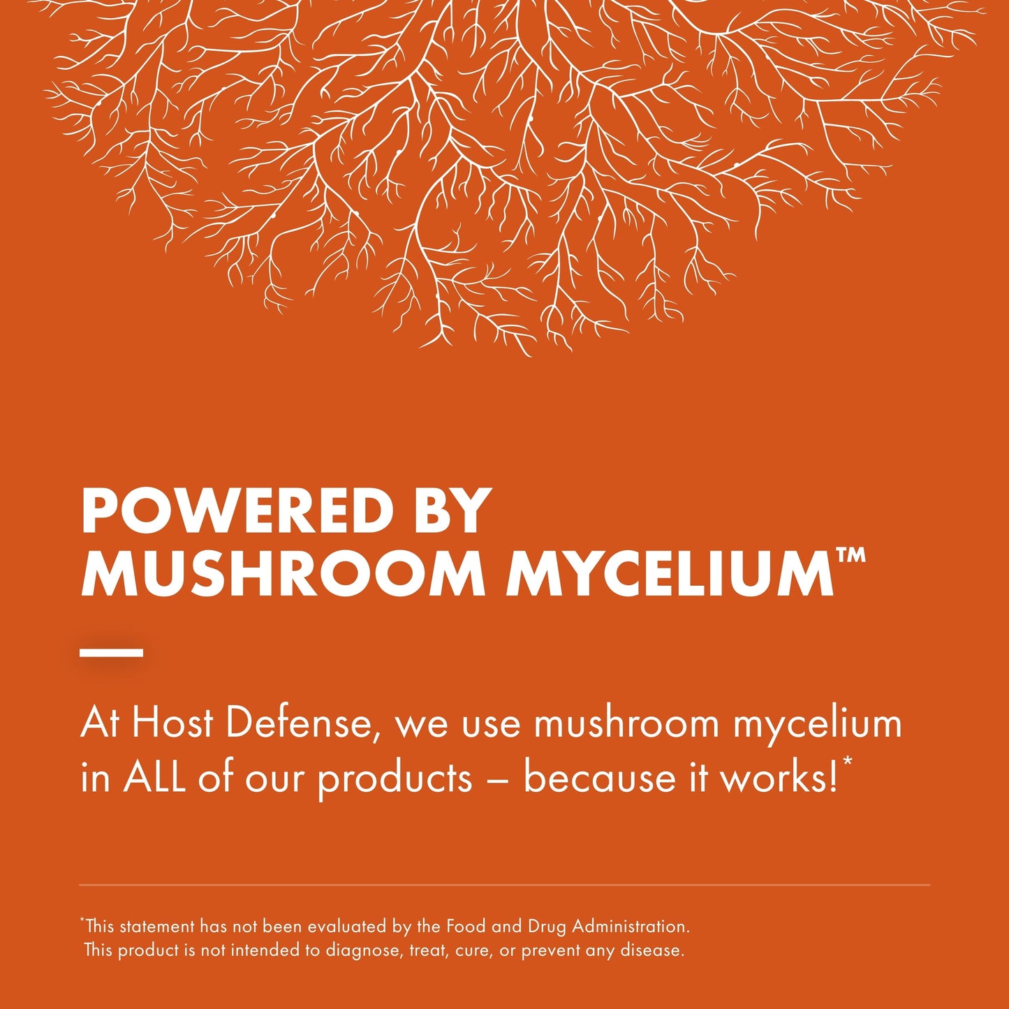 Breathe* Capsules - 120 Capsules (60 Servings)