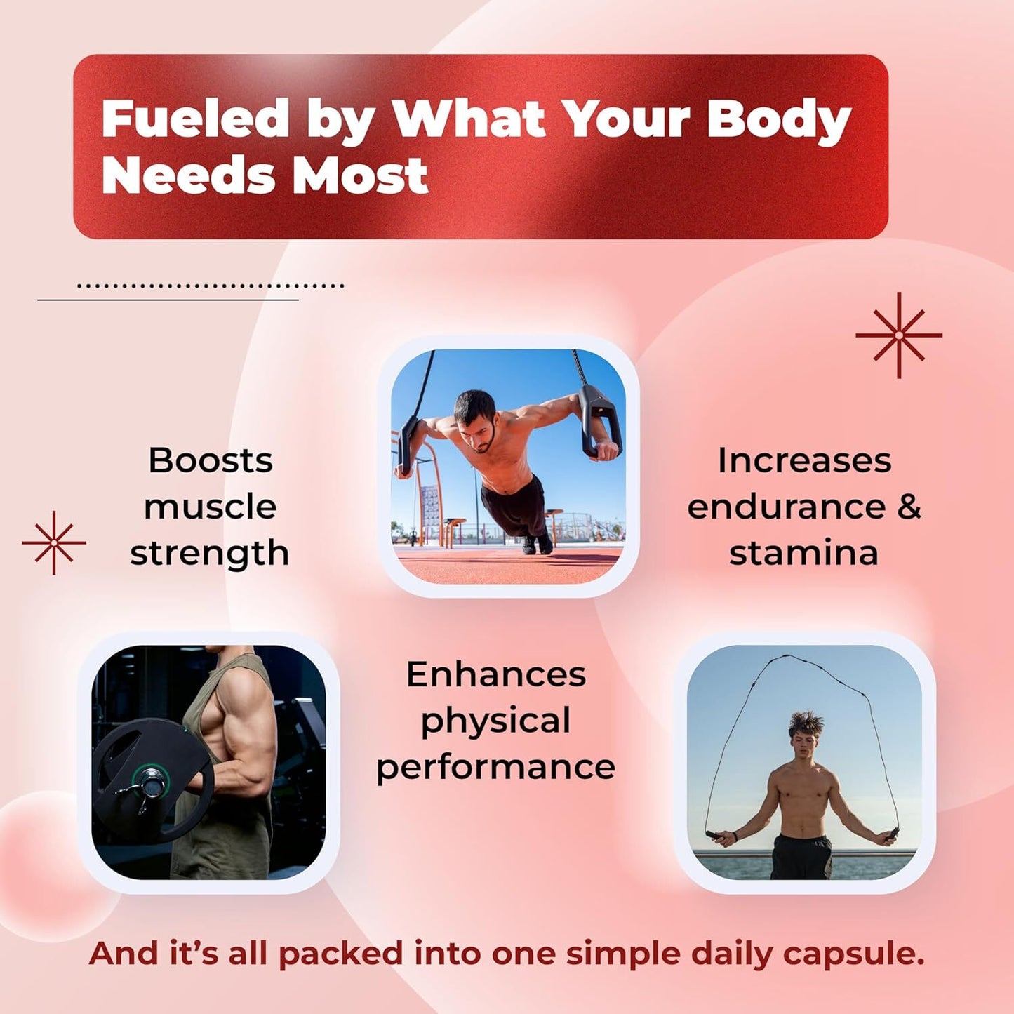 Ultra Turkesterone Ajuga Turkestanica Standardized 20% Turkesterone High Potency