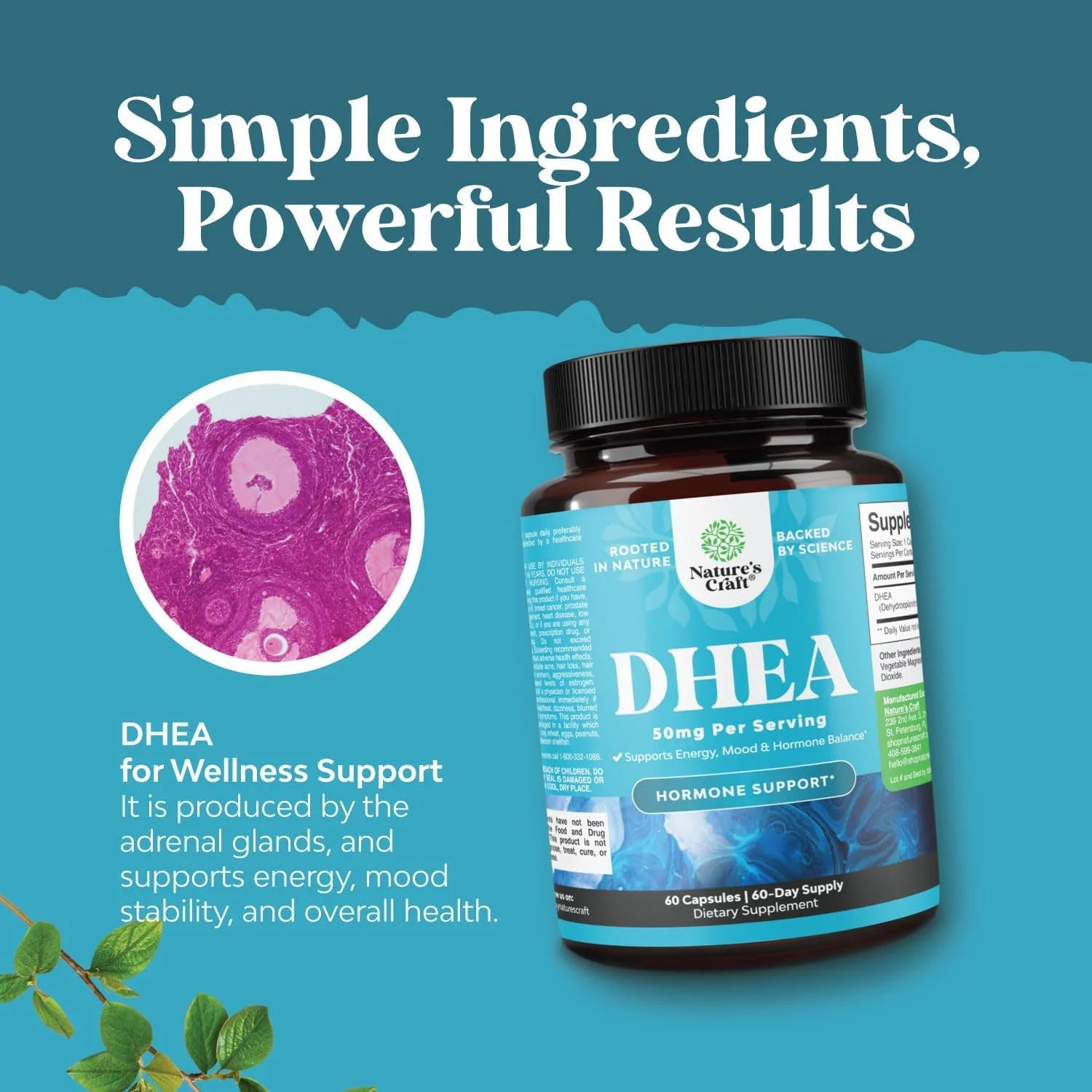 Nature’S Craft 50Mg Mood Support & Hormone Balance DHEA Supplement for Women & Men, 60 Capsules